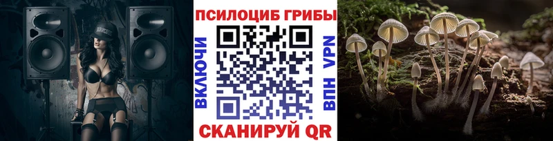 Псилоцибиновые грибы Psilocybe  маркетплейс какой сайт  Мариинский Посад 